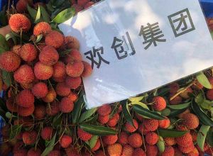 夏日好“枝”味，云开体育·(KAIYUN SPORTS)官方网站-云开(中国)集团发福“荔”啦
