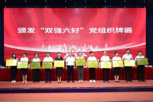 喜报！云开体育·(KAIYUN SPORTS)官方网站-云开(中国)集团党支部荣获广州市非公有制经济组织“双强六好”党