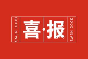 喜报！云开体育·(KAIYUN SPORTS)官方网站-云开(中国)集团党支部党建工作荣获多项市级表彰