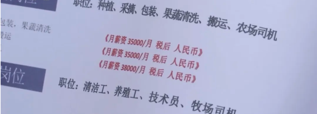 668e26d60401b.png 1.png