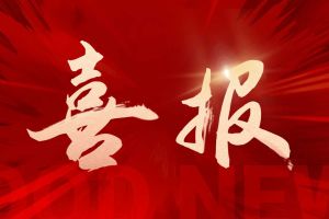 党建引领 赋能发展 | 云开体育·(KAIYUN SPORTS)官方网站-云开(中国)集团党支部连获市、区两级党建荣誉